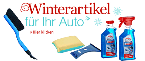 winterartikel-fur-das-auto-amazon