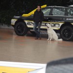 Franz Wittmann junior Hund Porsche Cayenne