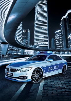 ACS_TuneItSafe_2013 BMW Polizei Auto