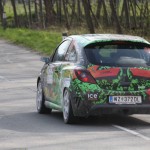 Rebenland Rallye 2014 Opel Corsa OPC Daniel Zieser SP 11